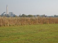 169-360,O, 2011-10-02,NL-Jac Schepens, 51.233192 NB 5.594966 OL, Cranendonck