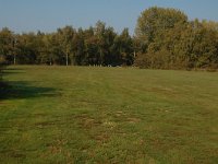 169-360,W, 2011-10-02,NL-Jac Schepens, 51.233192 NB 5.594966 OL, Cranendonck