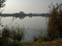 169-360,Z, 2011-10-02,NL-Jac Schepens, 51.233192 NB 5.594966 OL, Cranendonck