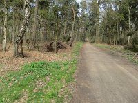 169-367, Cranendonck