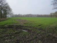 169-367, W, 2018-4-14, NL-Peter Vlamings, 169477-367516, Cranendonck