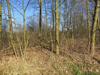 169-368, Cranendonck