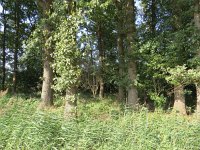 169-369, Cranendonck