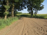 169-369, O, 2017-8-29, NL-Peter Vlamings, 169510-369519, Cranendonck