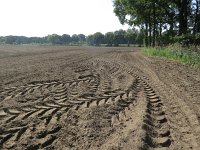 169-369, W, 2017-8-29, NL-Peter Vlamings, 169510-369519, Cranendonck