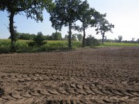 169-369, Z, 2017-8-29, NL-Peter Vlamings, 169510-369519, Cranendonck