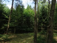 169-370, Cranendonck