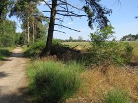 169-377, N, 2015-7-26, NL-Peter Vlamings, 169738-377636, Heeze-Leende