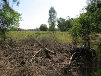 169-377, O, 2015-7-26, NL-Peter Vlamings, 169738-377636, Heeze-Leende