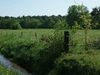 169-377, Z, 2011-05-01, NL-Leo Schutter, 51.386037 NB-5.596745 OL, Heeze-Leende