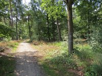 169-377, Z, 2015-7-26, NL-Peter Vlamings, 169738-377636, Heeze-Leende