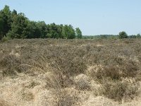 169-378, Heeze-Leende