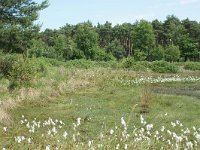 169-380, Geldrop-Mierlo