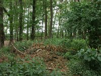 169-383, Geldrop-Mierlo