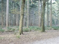 169-388, W, 2011-10-30, NL-Leo Schutter, 51.485338 NB-5.595943 OL, Helmond