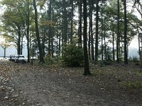 169-388, Z, 2011-10-30, NL-Leo Schutter, 51.485338 NB-5.595943 OL, Helmond