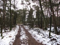 169-410, O, 7-2-2013, NL-PETER VLAMINGS, 169.475-410.503, UDEN