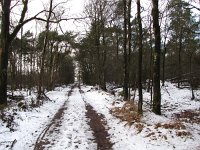 169-410, W, 7-2-2013, NL-PETER VLAMINGS, 169.475-410.503, UDEN