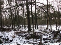 169-410, Z, 7-2-2013, NL-PETER VLAMINGS, 169.475-410.503, UDEN