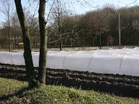 180-378,O, 8-3-2011,NL-Harry Keijsers, 51.394909 NB-5.753771 OL, Asten