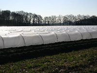 180-378,Z, 8-3-2011,NL-Harry Keijsers, 51.394909 NB-5.753771 OL, Asten