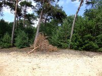 181-392, N, 2013-07-11, Sovon-J.J.F.M. van de Leur, 181519-392750, Gemert-Bakel