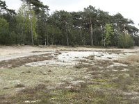 181-392, O, 2012-4-15, NL-Tiny de Krom, 51.522867 NB-5.769037 OL, Gemert-Bakel