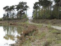 181-392, W, 2012-4-15, NL-Tiny de Krom, 51.522867 NB-5.769037 OL, Gemert-Bakel