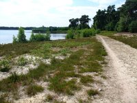 181-392, W, 2013-07-11, Sovon-J.J.F.M. van de Leur, 181519-392750, Gemert-Bakel