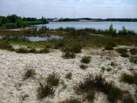 181-392, Z, 2013-07-11, Sovon-J.J.F.M. van de Leur, 181519-392750, Gemert-Bakel