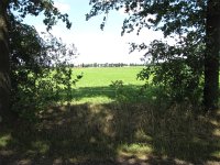 187-397, Sint Anthonis