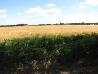 187-398, O, 19-7-2013, NL-PETER VLAMINGS, 187610-398600, SINT ANTHONIS