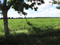 187-398, W, 19-7-2013, NL-PETER VLAMINGS, 187610-398600, SINT ANTHONIS