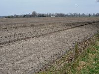 187-399, Sint-Anthonis