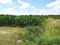 187-400, N, 19-7-2013, NL-PETER VLAMINGS, 187467-400510, SINT ANTHONIS