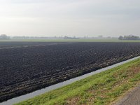 130-503, W, 17-02-2011, NL-Willem Schnack, 52.51960NB-5.02919OL, Edam-Volendam