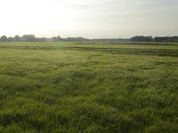 137-480, W, 2011-09-24, NL-Hans Farjon, 52.312592 NB-5.130371 OL, Naarden : laagveenlandschap