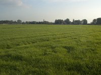 137-480, Z, 2011-09-24, NL-Hans Farjon, 52.312592 NB-5.130371 OL, Naarden : laagveenlandschap