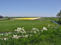 137-515, O, 2011-05-02, NL-Joost Kuppers, 137468 - 515502, Drechterland