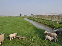 137-520, Drechterland