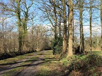 257-489, N, 8-2-2011, NL-Marco van Hummel, 52.23026 NB-6.53567 OL, Dinkelland