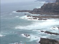 Armeria pungens 4, Saxifraga-Piet Zomerdijk