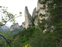 Genista sessilifolia 3, Saxifraga-Dirk Hilbers