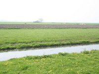 125-443, W, 2011-04-16, NL-Hidde van der Kluit, 51.97942 NB - 4.96134 OL, Lopik