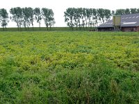 077-408, Z, 2011-08-20, NL- RIK KRUIT, 077500-408547, OOSTFLAKKEE