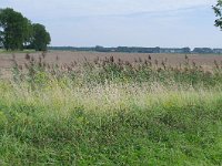 077-409, O, 2011-08-20, NL- RIK KRUIT, 077680-409545, OOSTFLAKKEE