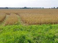 077-409, W, 2011-08-20, NL- RIK KRUIT, 077680-409545, OOSTFLAKKEE