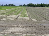 077-411, OostFlakkee