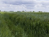 077-418, E, 2011-07-02, NL-R. Kruit, 077500-418450, Korendijk