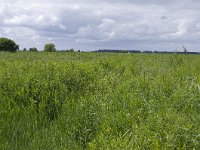 077-418, W, 2011-07-02, NL-R. Kruit, 077500-418450, Korendijk